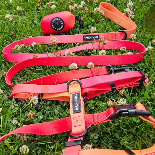 Set Arnes Rojo/Naranja