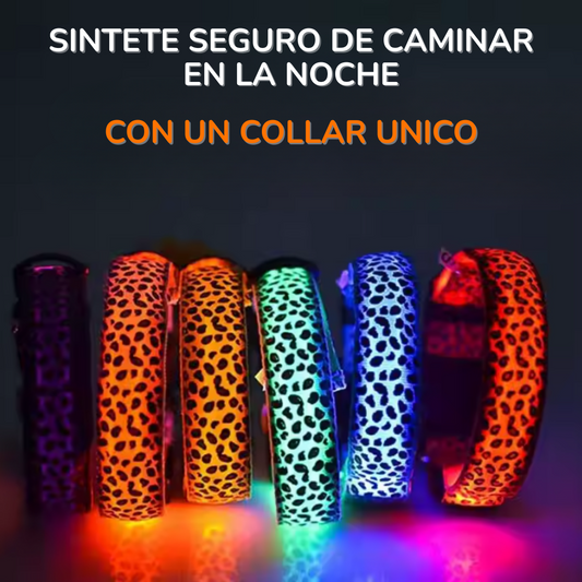 Collar Animal Print Led