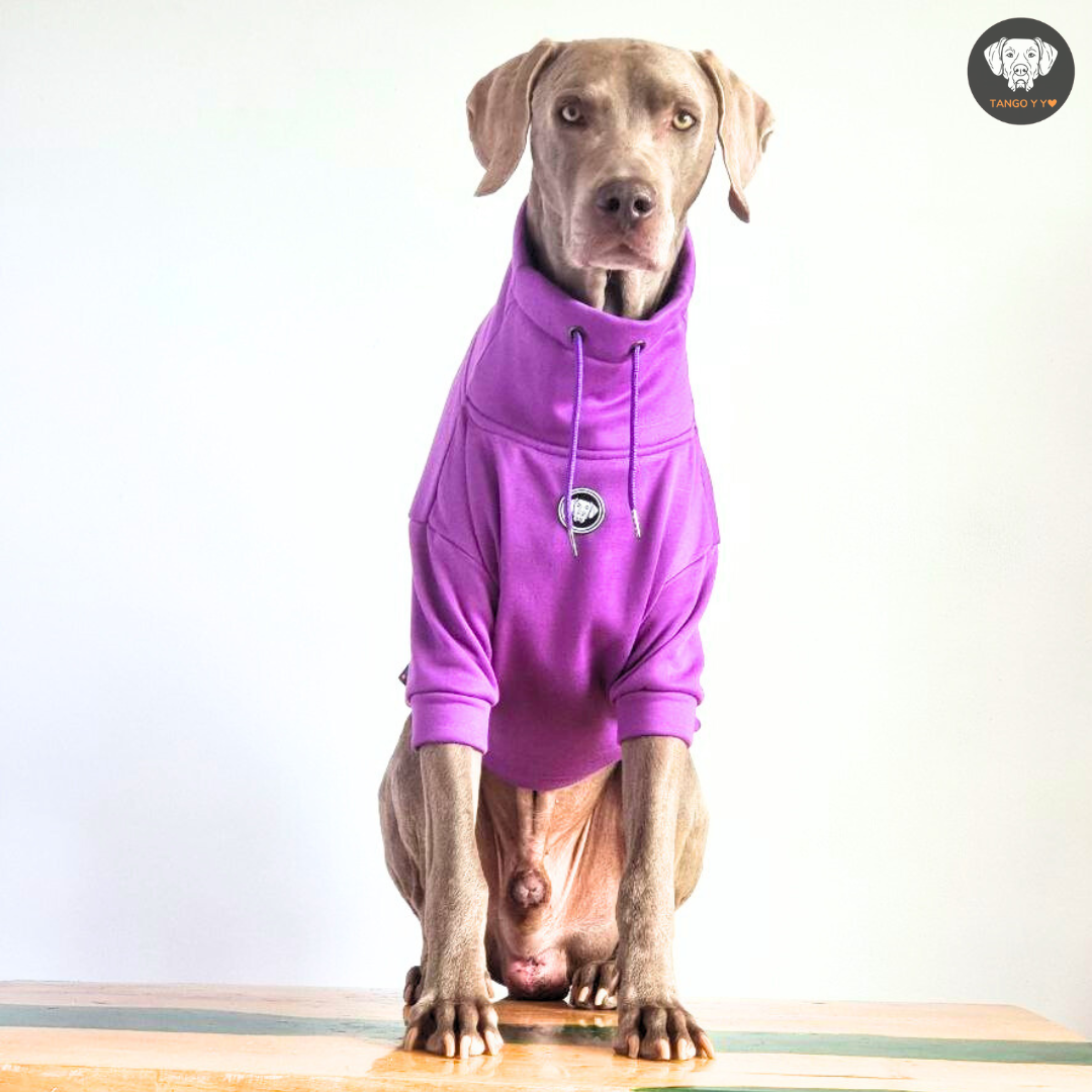 Hoodie Egipcio Morado