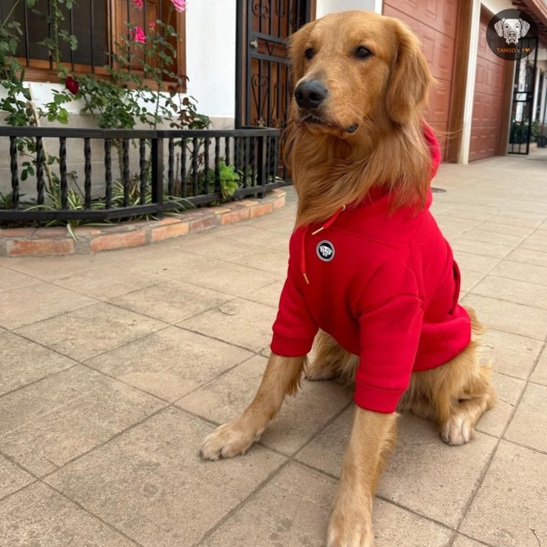 Hoodie Italiano Rojo