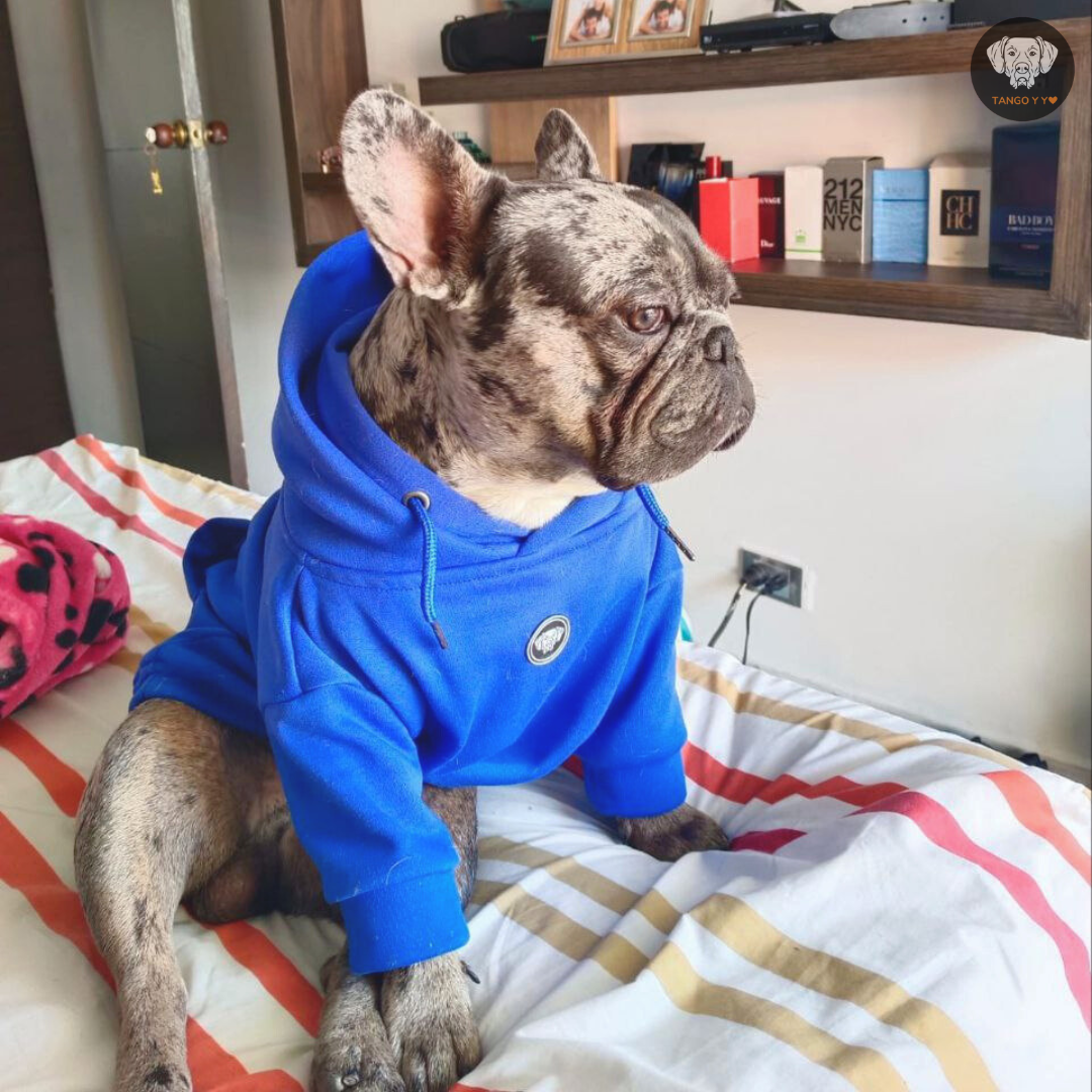 Hoodie Italiano Azul