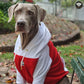 Hoodie Navideño Blanco Rojo 🎄