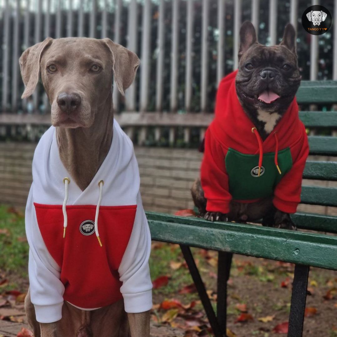 Hoodie Navideño Blanco Rojo 🎄