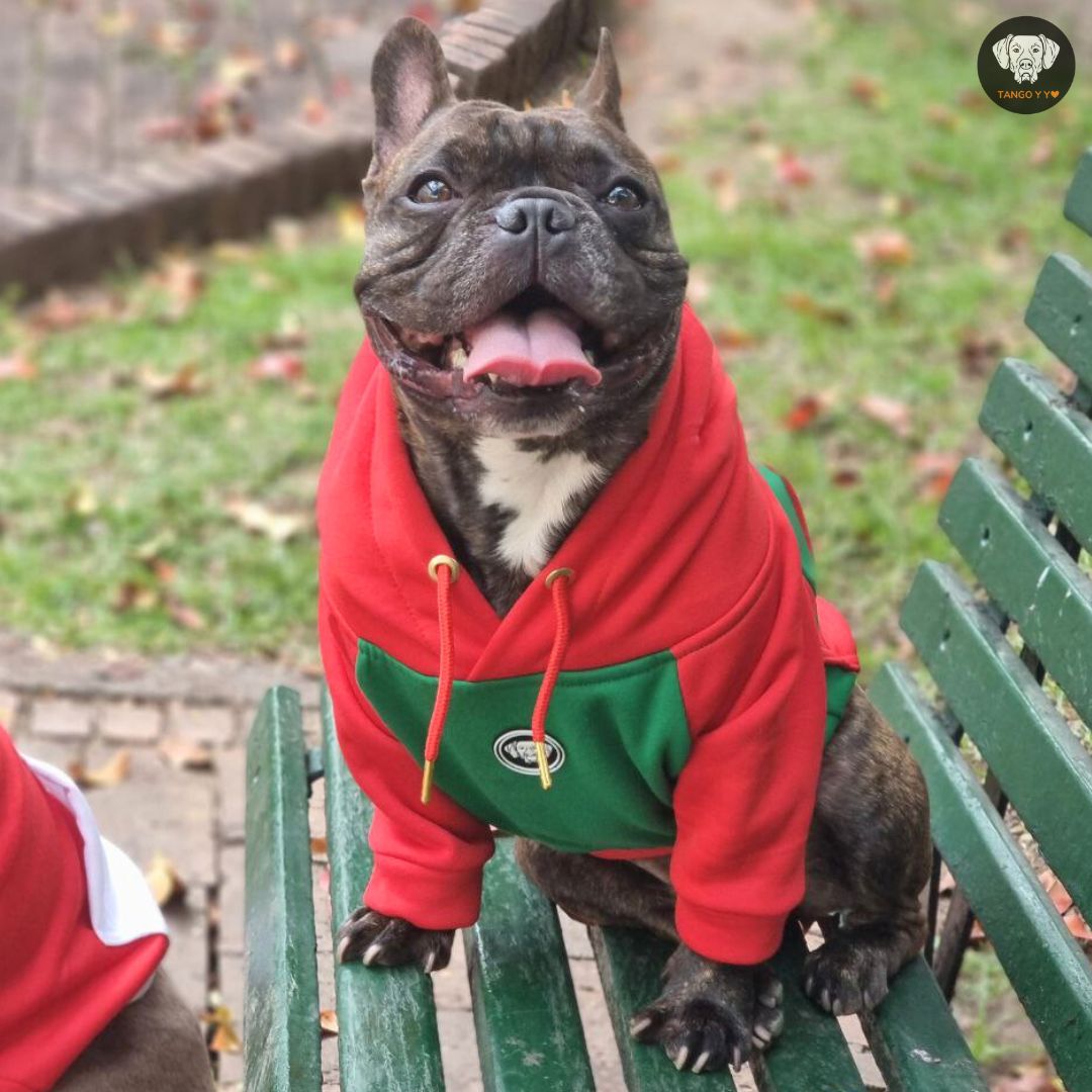 Hoodie Navideño Rojo verde 🎄