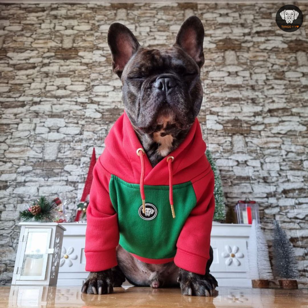 Hoodie Navideño Rojo verde 🎄