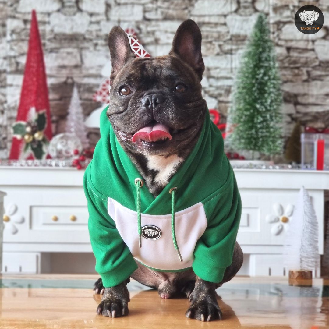 Hoodie Navideño Verde Blanco 🎄