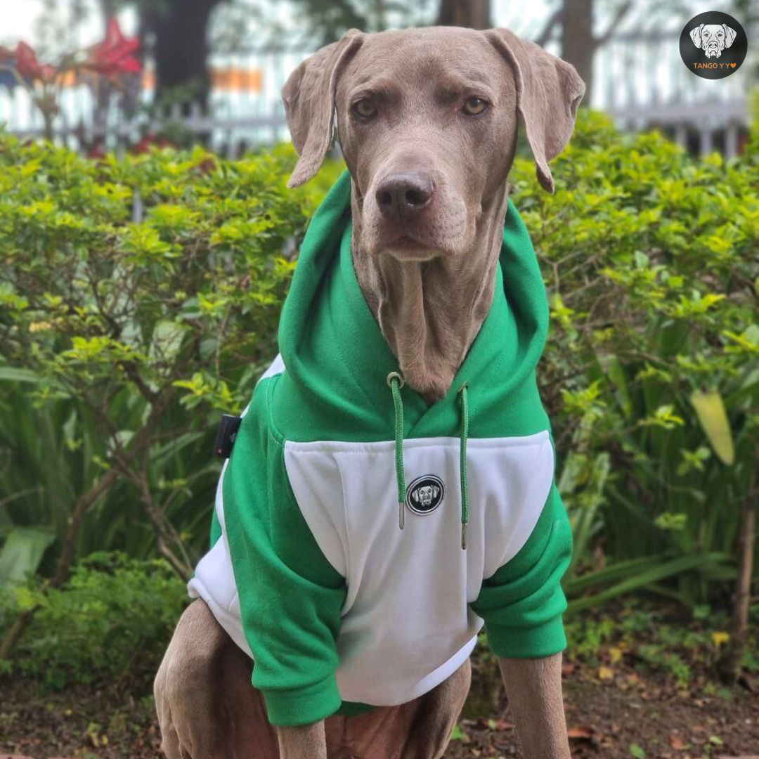 Hoodie Navideño Verde Blanco 🎄