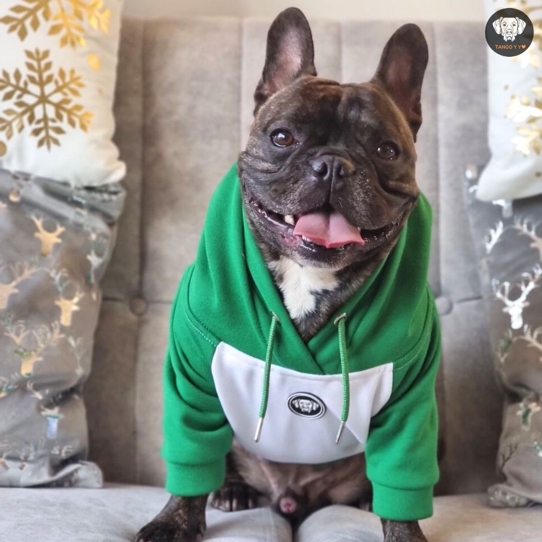 Hoodie Navideño Verde Blanco 🎄