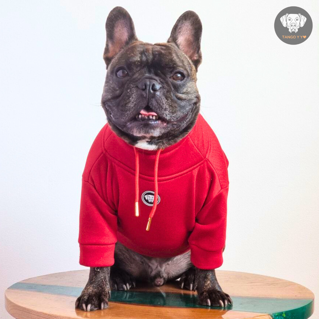 Hoodie Egipcio Rojo