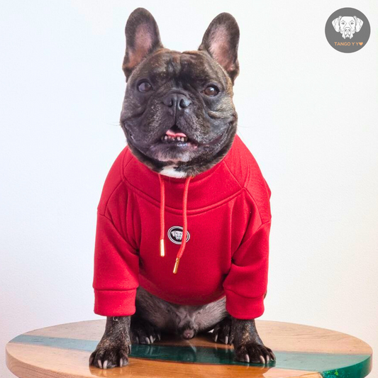 Hoodie Egipcio Rojo