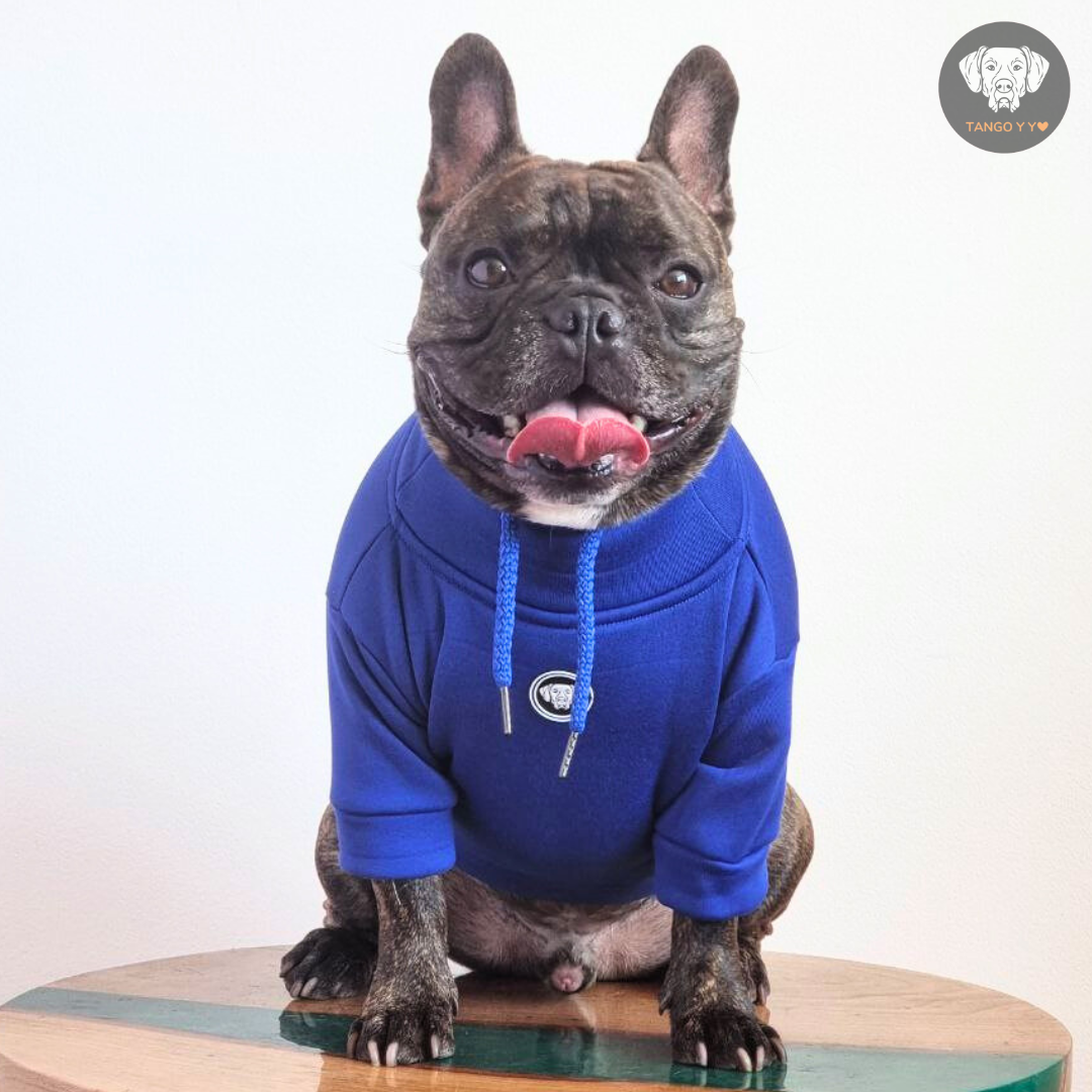 Hoodie Egipcio Azul