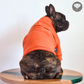 Hoodie Egipcio Naranja