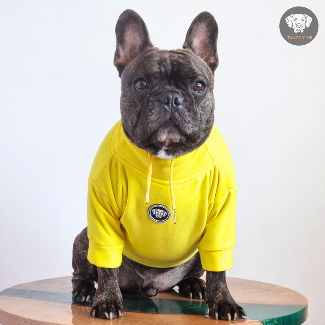 Hoodie Egipcio Amarillo