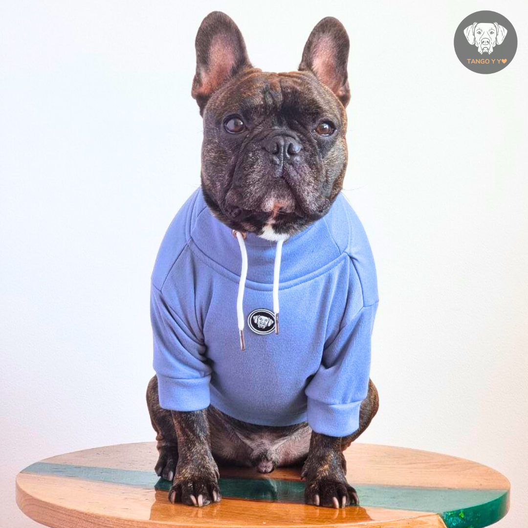 Hoodie Egipcio Azul Cielo