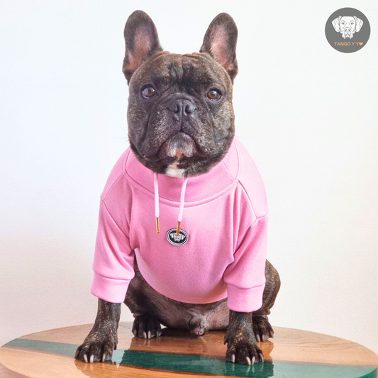 Hoodie Egipcio Rosado