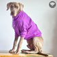 Hoodie Egipcio Morado