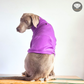 Hoodie Egipcio Morado