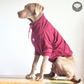 Hoodie Egipcio Vino Tinto