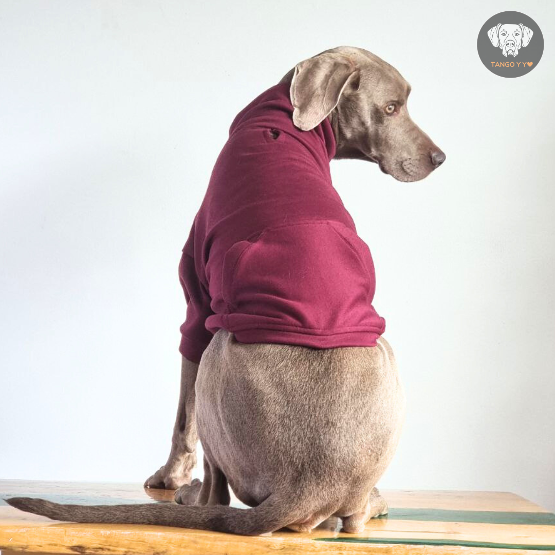 Hoodie Egipcio Vino Tinto