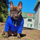 Hoodie Egipcio Azul