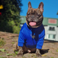 Hoodie Egipcio Azul