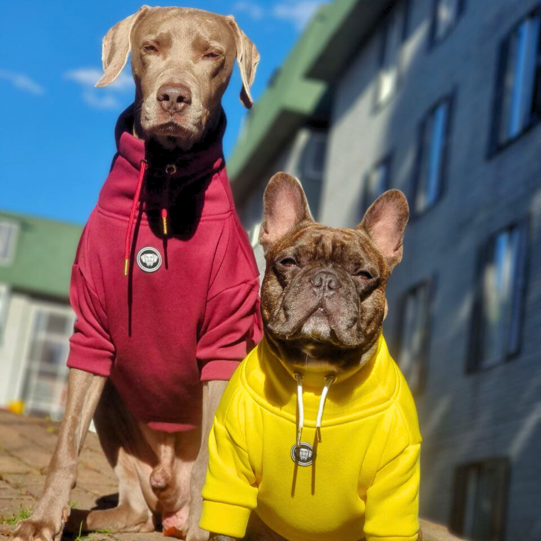 Hoodie Egipcio Amarillo