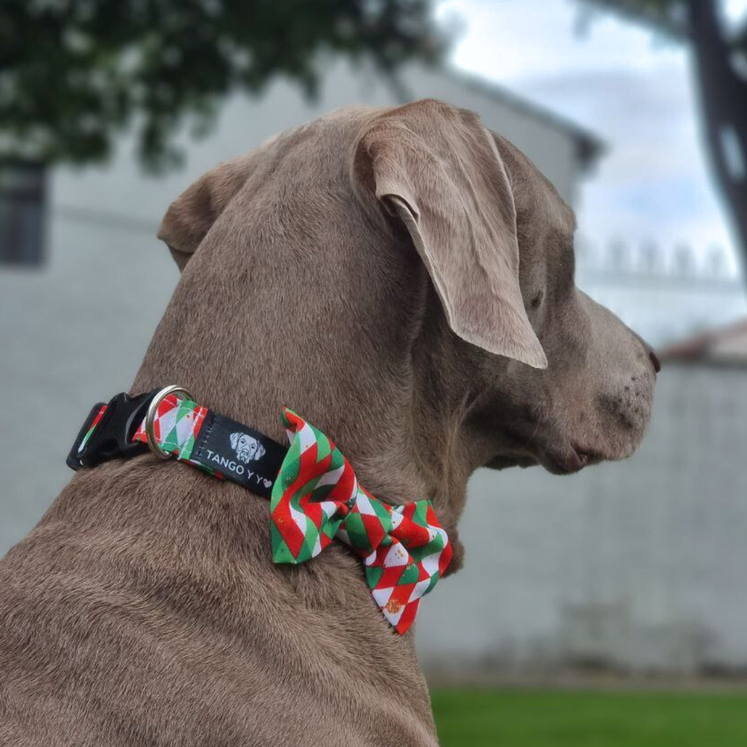 Collar Corbatín Navideño