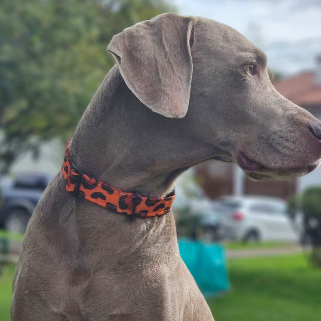 Collar Corbatín Naranja