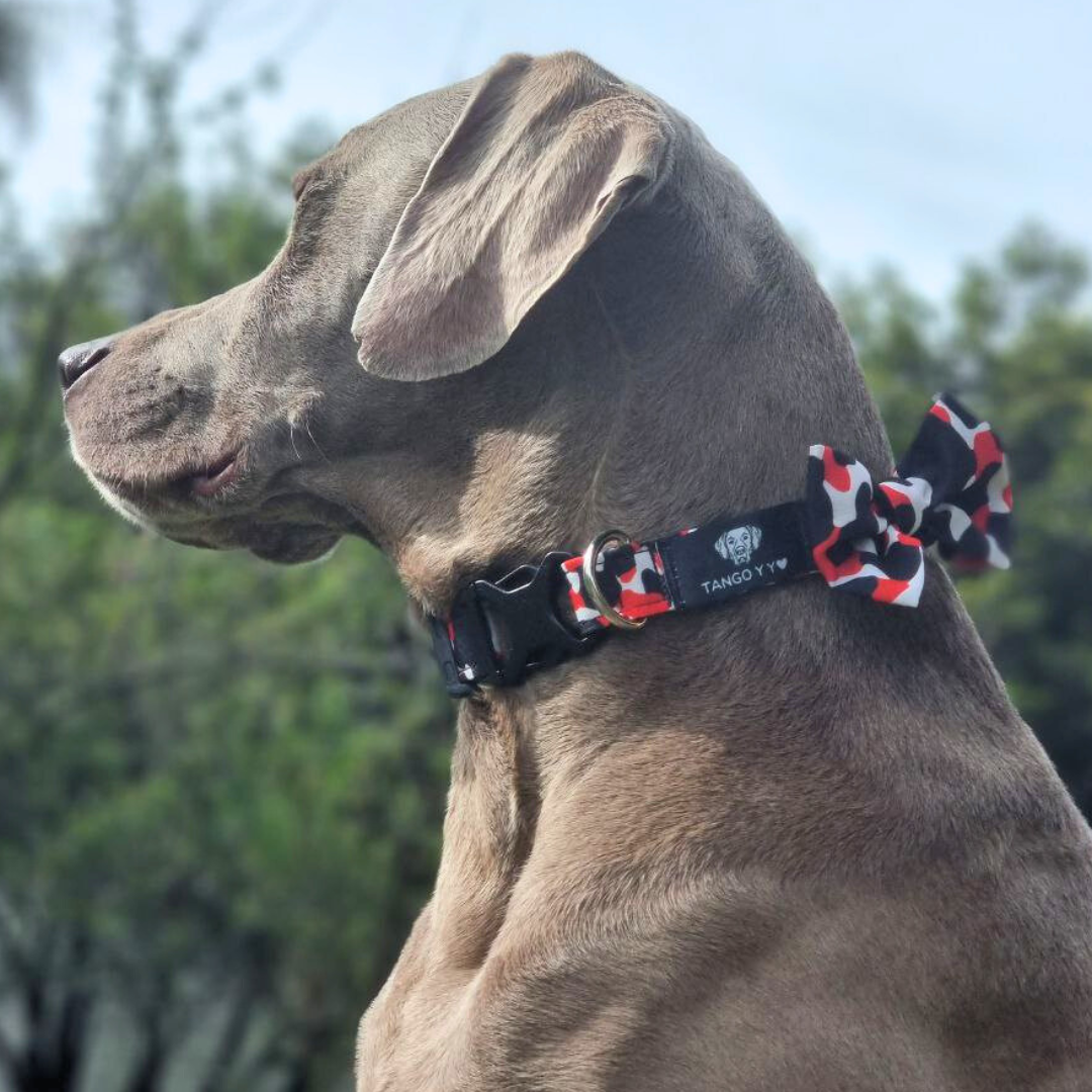 Collar Corbatín Rojo