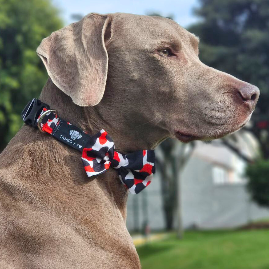 Collar Corbatín Rojo