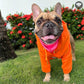 Hoodie Italiano Naranja