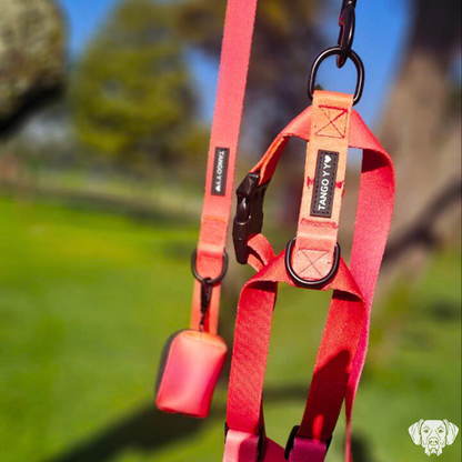 Set Arnes Rojo/Naranja