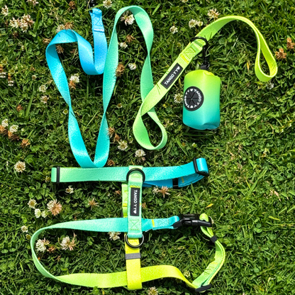 Set Arnes Verde/Azul