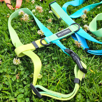 Set Arnes Verde/Azul
