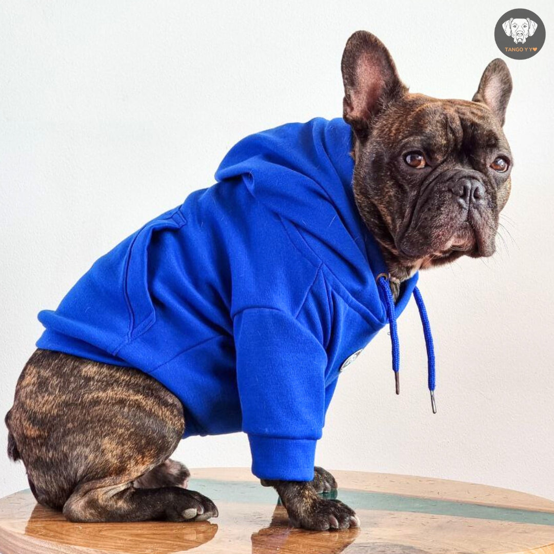 Hoodie Italiano Azul