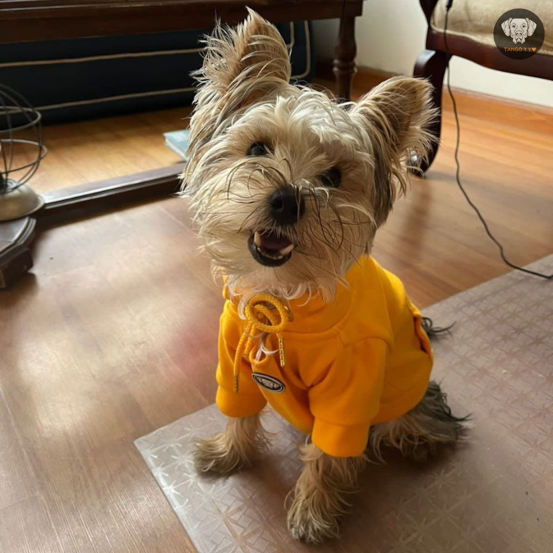 Hoodie Italiano Amarillo Quemado