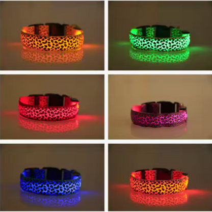 Collar Animal Print Led