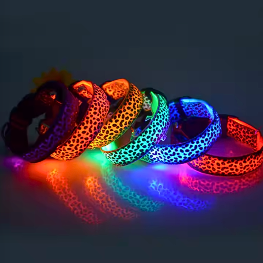 Collar Animal Print Led