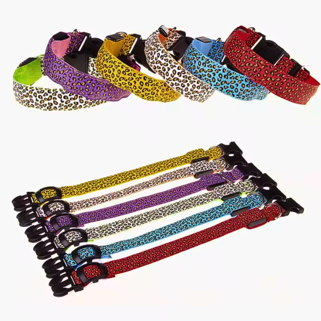 Collar Animal Print Led