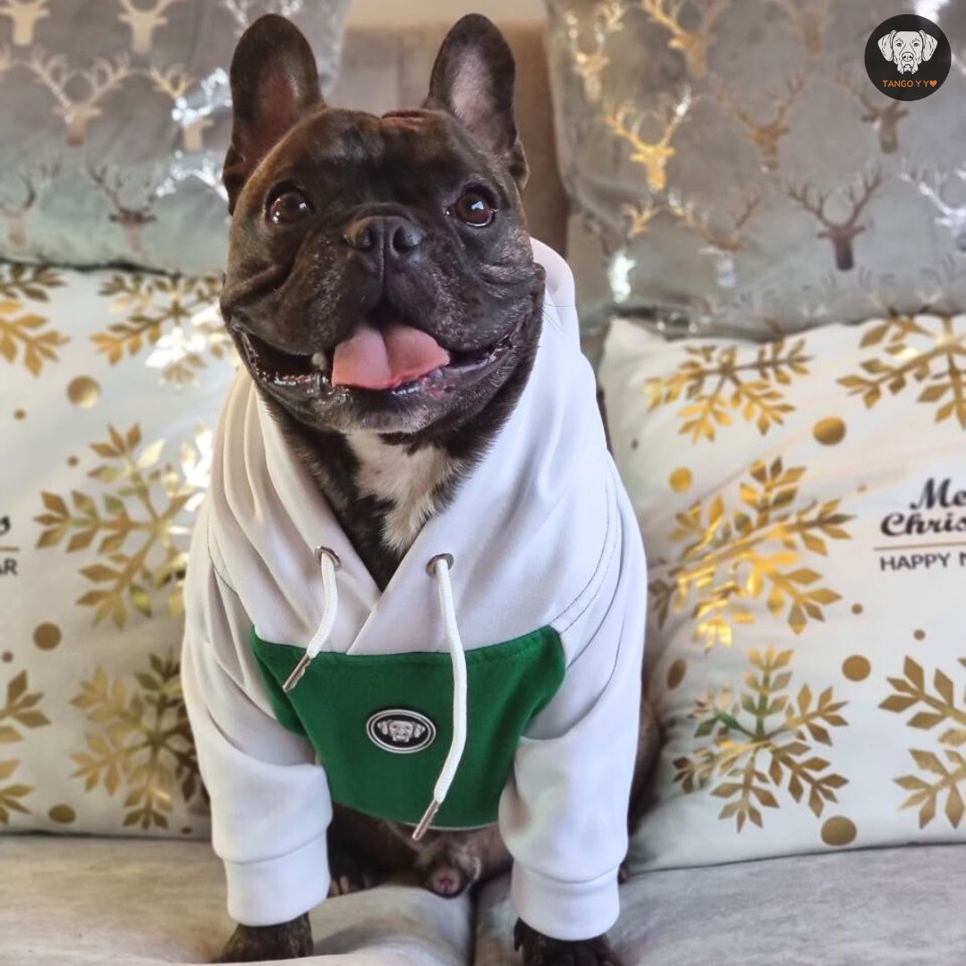 Hoodie Navideño Blanco Verde 🎄