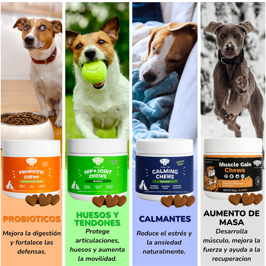 Aceite de Salmón™- Suplemento Premium