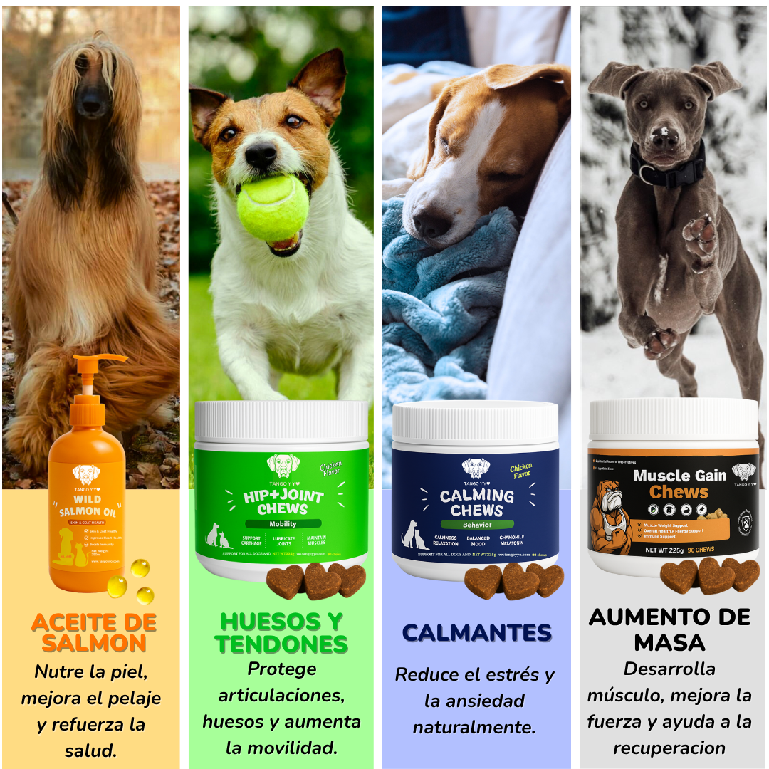 Probióticos 7cepas™ - Suplemento Premium