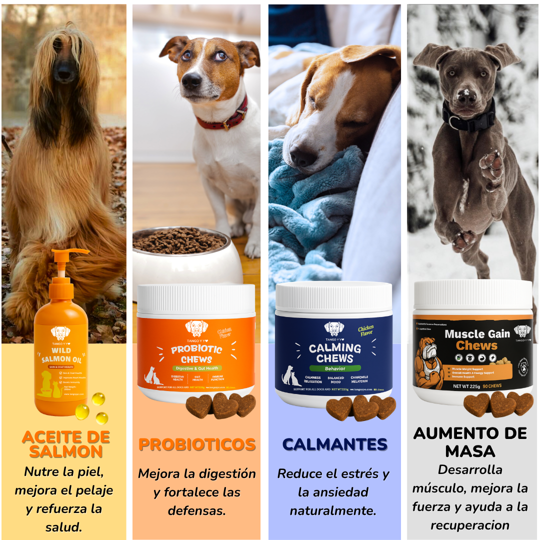 Movilidad Articular™ – Suplemento Premium