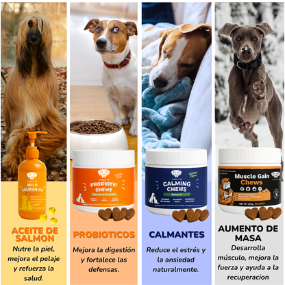 Movilidad Articular™ – Suplemento Premium