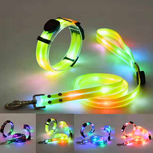 Set correa + collar luz led