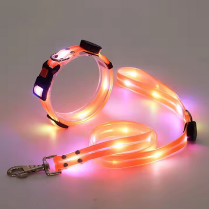 Set correa + collar luz led