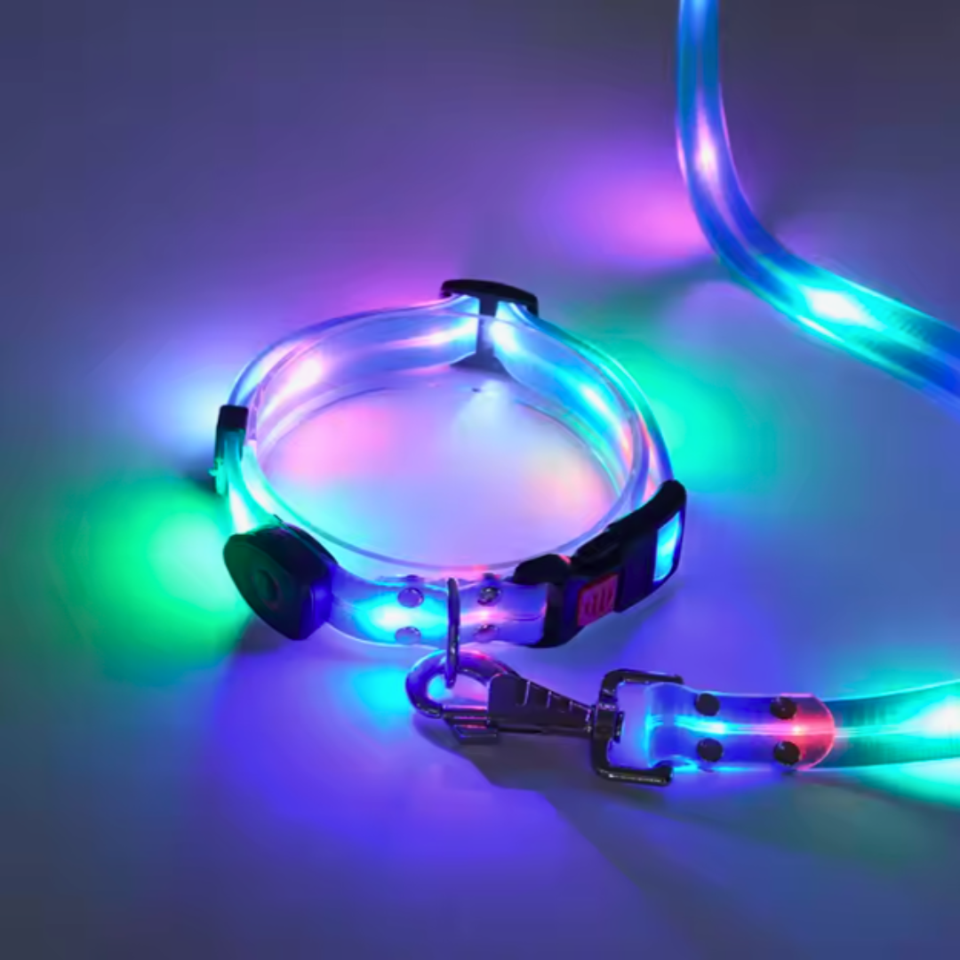 Set correa + collar luz led