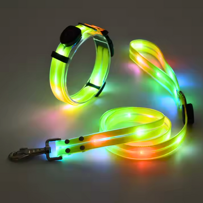 Set correa + collar luz led