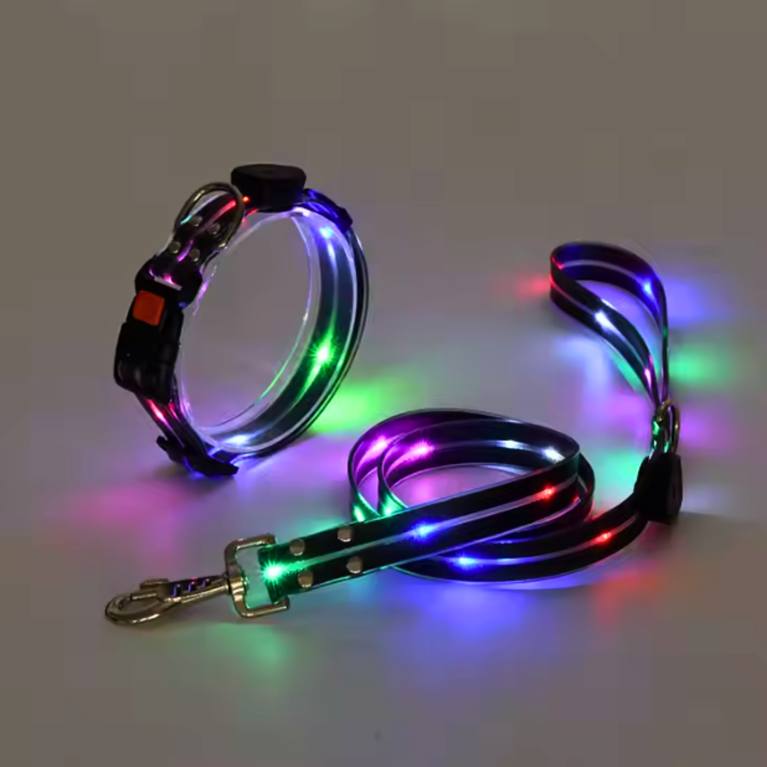 Set correa + collar luz led