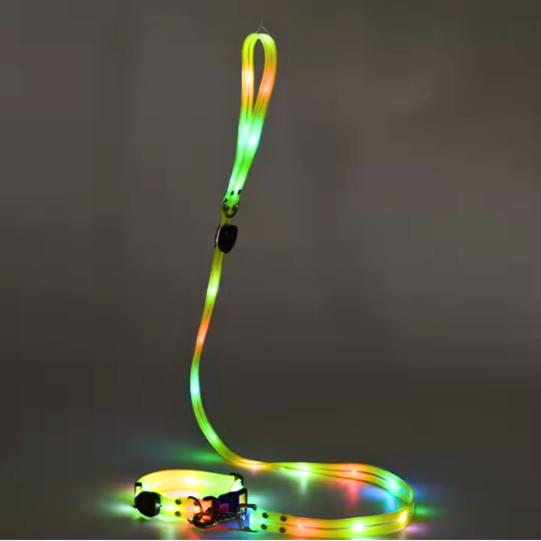 Set correa + collar luz led